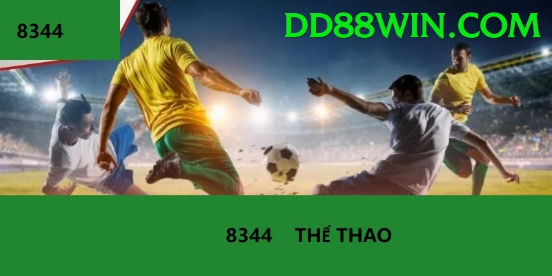 Cá Cược Thể Thao - Trải nghiệm tuyệt vời